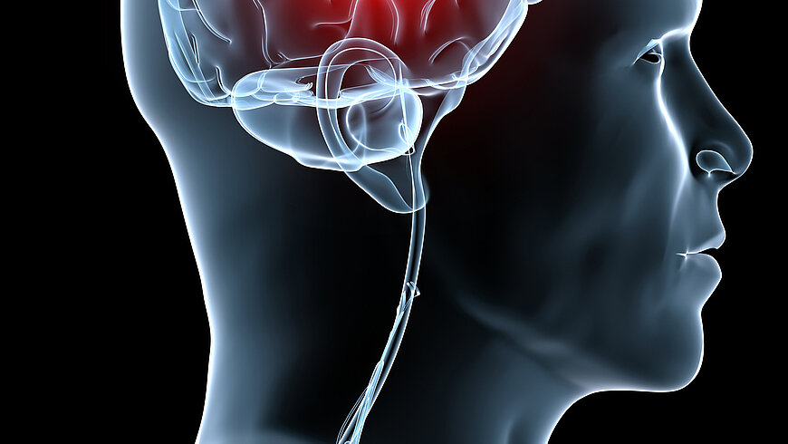 [SciePro] via Adobe.de